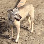 Scott Bucher - @scott_bucher - Instagram