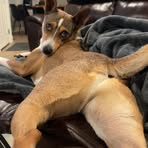 Cody Scott Buckingham - Facebook