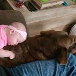 Scott Buckingham - @trash9774 - Instagram