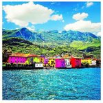 Scott Buckmaster - @scottbuckmaster_ - Instagram