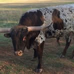 Scott Buckmaster - Facebook
