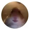 @scott.buckmaster - @ajmaster19 - TikTok