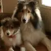 Scott Buchwalter 66 - @scott_buchwalter - TikTok