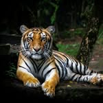 Scott Burgett - @sburg4471 - Instagram