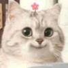 Scott Burgett - @scottburgett227 - TikTok