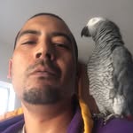 Scott Burks - @burks8264 - Instagram