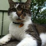 Scott Burroughs - @scoburr14 - Instagram