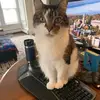scottburroughs427 - @scottburroughs427 - TikTok