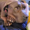 Scott Burson - @scott.burson - TikTok
