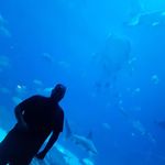 Scott Cabrera - @cabrera.100 - Instagram