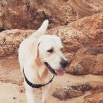 Scott De La Vega Cabrera - @scotty_family - Instagram
