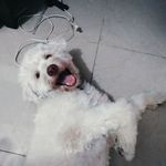 Spanki Scott Cabrera - @spanki.c.e - Instagram