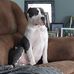 Scott Calabrese - Facebook