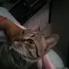 Scottcalderon._ - @scottcalderon._ - TikTok