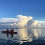 Scott Calloway - @spcalloway - Instagram