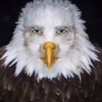 Scott Cardenas - Facebook