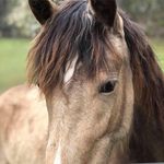Scott Carlile - @scott.carlile.9 - Instagram