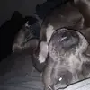 scottcarlyle77 - @scottcarlyle77 - TikTok