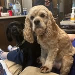 Scott Carnell - @wsctx - Instagram