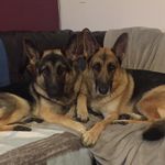 Scott Carty - @scottcarty_ - Instagram