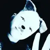 scott carty - @scottcarty_208 - TikTok