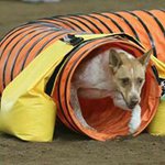 Scott Caruso - @flaps_up_free - Instagram