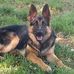 Scott Caruso - Facebook