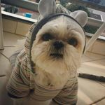 Scott Caruso - @scottcarusoo - Instagram