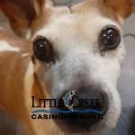 Scott Cary - @8708363sc - Instagram