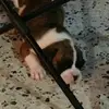 scott cassel - @scott.cassel - TikTok