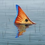 Scott Cassels - @scott.cassels.18 - Instagram