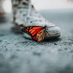 Scott Castaneda - @scott4156castaneda - Instagram