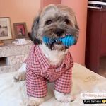Scott Castillo - @holasoy.scott - Instagram