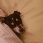 Scott Castles - @scott.castles - Instagram