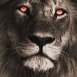 Scott Casto - @scott.casto.986 - Instagram