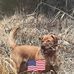 Scott Catlin - Facebook