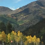 Scott Catron - @zauizaui - Instagram