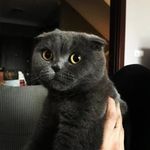 catty - @scott_catt - Instagram