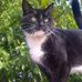 Scott Catt - Facebook