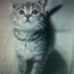 Scott Catt - Facebook