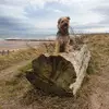 scott cattanach - @scott.cattanach8 - TikTok