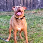 Scott Catterson - @scottcatterson - Instagram