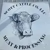 Scott Cattle - @scottcattleco - TikTok