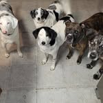 Scott Caudill - @caudills75 - Instagram