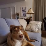 Scott Caudill - @scaudill007 - Instagram