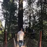 Scott Cha - @yunghwan1 - TikTok