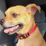 Scott Chabot - @mr.brady219 - Instagram