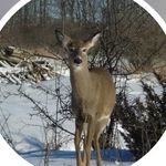 Scott Charboneau - @scharboneau - Instagram