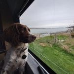 Scott Charnock - @scott.charnock2023 - Instagram