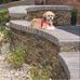 Scott Chatterton - Facebook